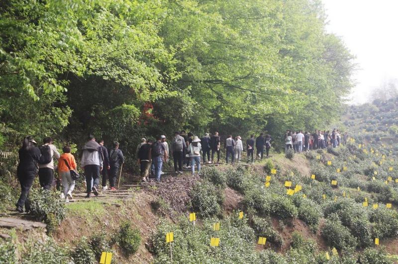 1681815733256660.png 圖片2.png