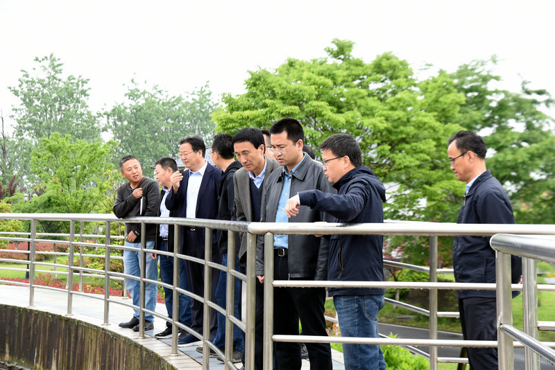 1682649556572000.jpg DSC_3535_副本.jpg