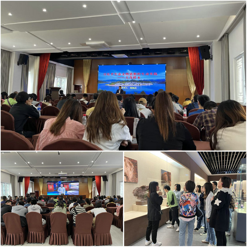 1684220091621550.jpg 2.jpg